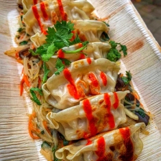 vegan tofu Japanese gyoza