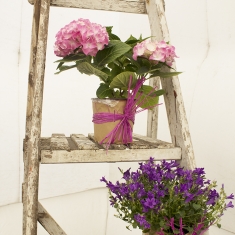 Vintage_Party_Prop_Hire copy 6