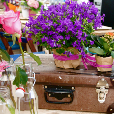 Vintage_Prop_Party_Hire copy 3