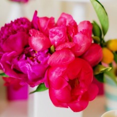Bright pink flower display